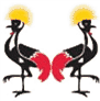 Air Uganda Mobile Apps