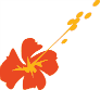 Aircalin Mobile Apps