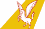 Pegasus Airlines