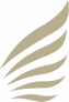 VLM Airlines Mobile Apps